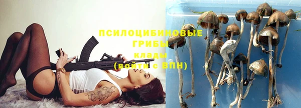 ALPHA PVP Новодвинск