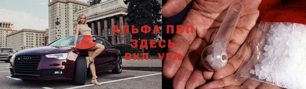 крисы Нефтекумск