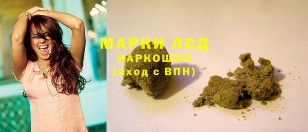 мдпв Новозыбков