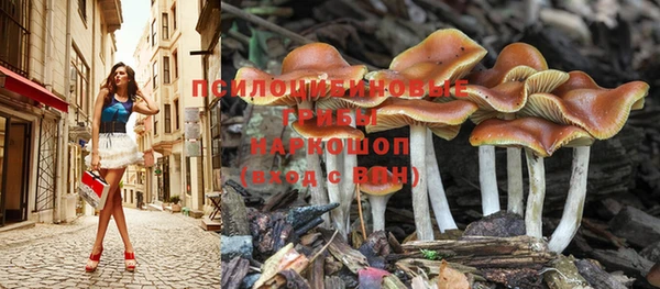 альфа пвп Нея