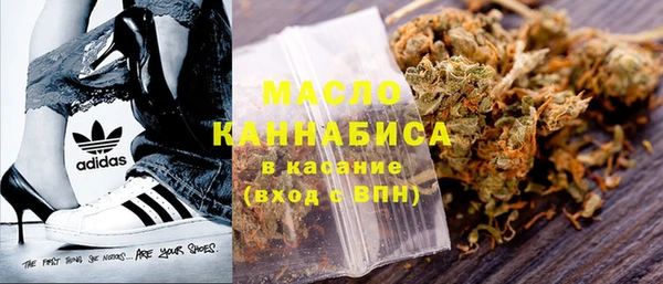 мдпв Новозыбков