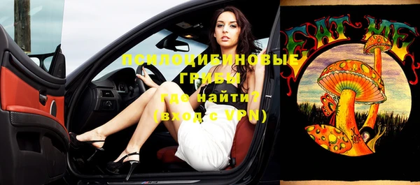 мдпв Новозыбков