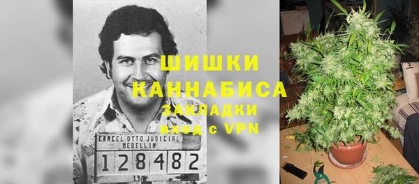 крисы Нефтекумск