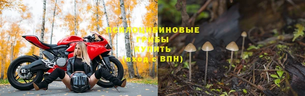 крисы Нефтекумск